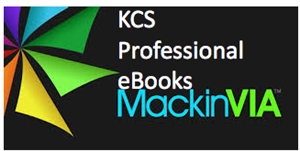 MackinVIA Professional Ebook Button